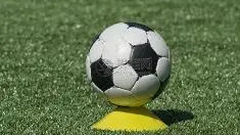 【胆力全开】2026年第032期排列三，独家精选包星双胆，揭秘必中秘籍，仅供参考！