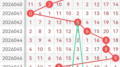 福彩3D第065期：专家分析双胆45，胆拖策略再挑战